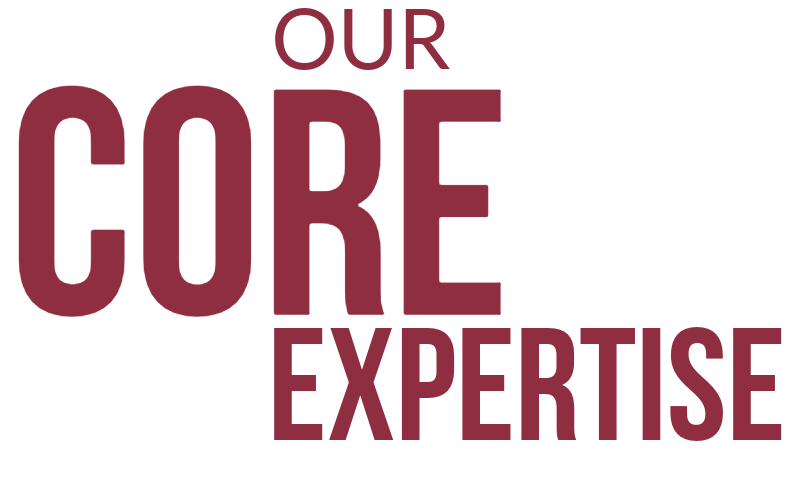 Our core expertise