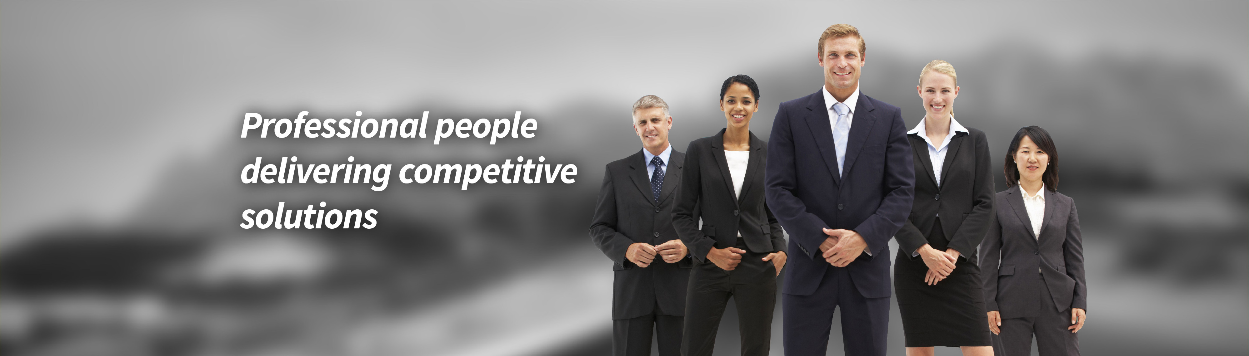 Professional people delivering competitive solutions