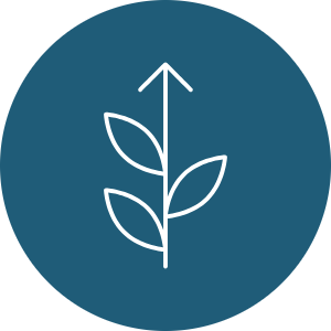Business growth icon