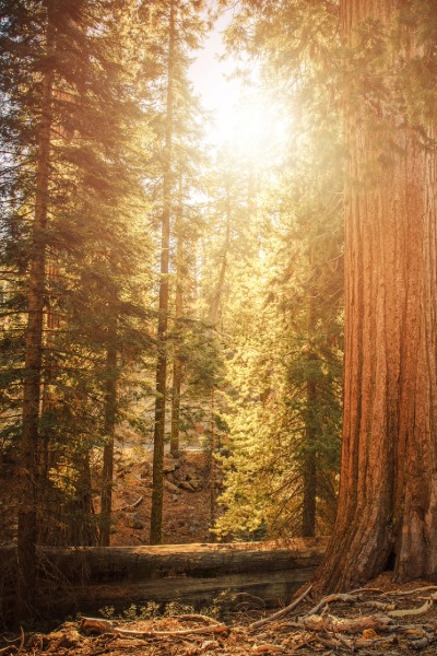 Why choose accountants who also manage wealth?