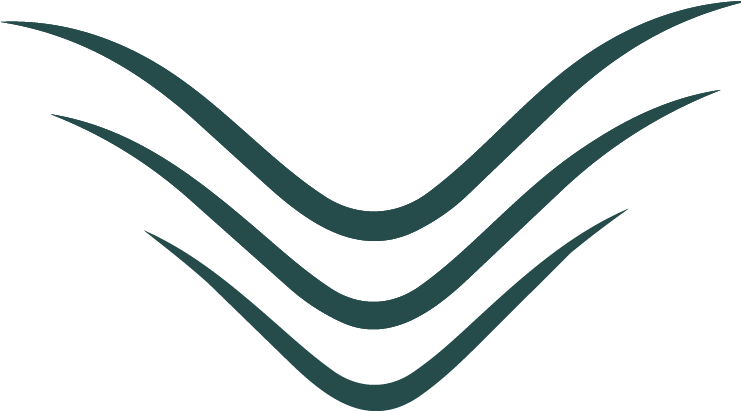Ripple icon